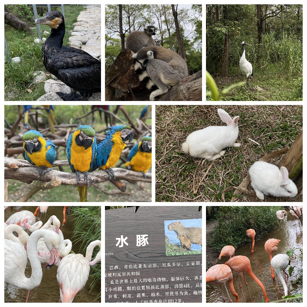 厚積薄發(fā)，蓄力前行：大手牽小手，共圓實(shí)佳夢